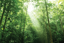 Replenishing Earth