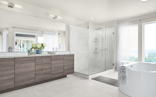 Frameless Walk-in Shower