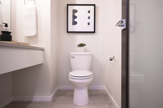 Elongated Toilet