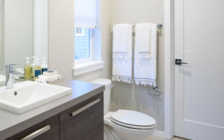Elongated Toilet