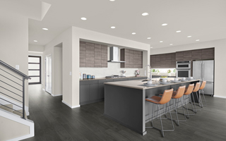 European Frameless Cabinetry